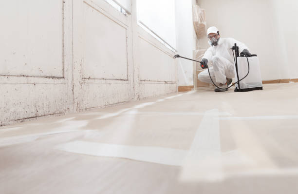 24/7 Emergency Bathroom Mold Removal experts in Plano, KY